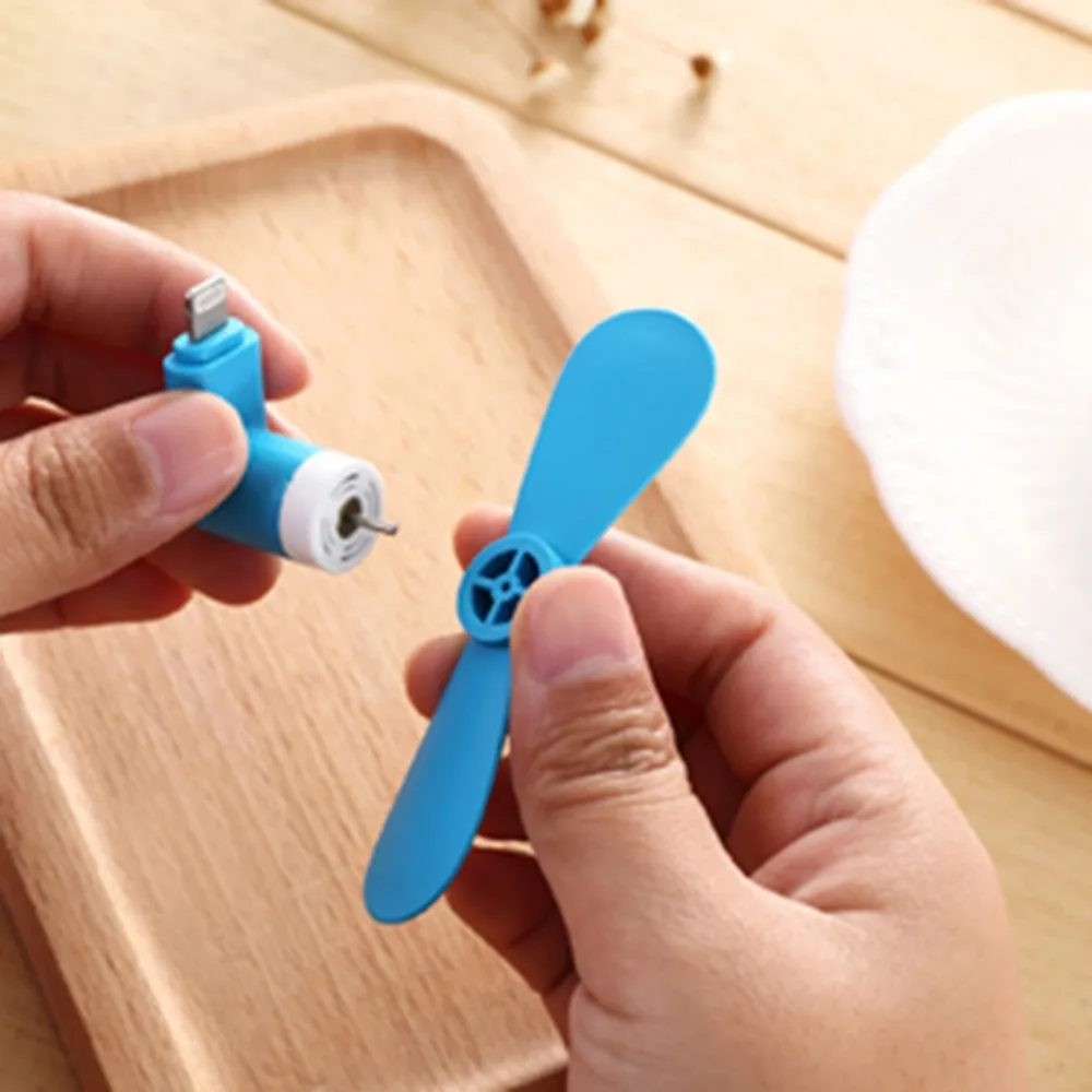 DQ367303-C-20190436-1