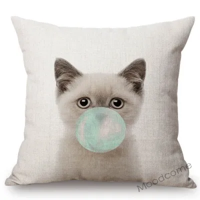 conew_n289 (11) 副本