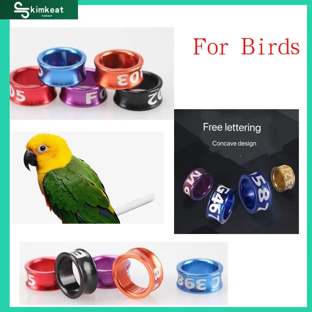 Amazon.com : SRRPSPIGEON Bird Leg Ring Clip Ring 3mm 4mm 5mm Parrot Canary  Aviary Leg Band Foot Ring Open Clip Ring 20PC (5mm, Orange) : Pet Supplies