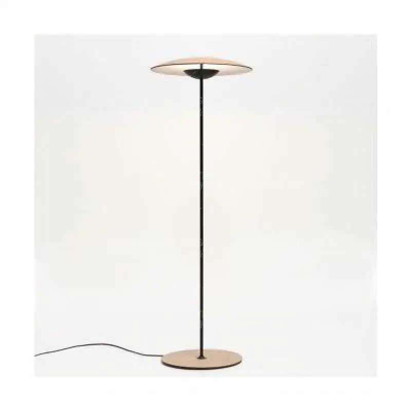 Floor Lamp Lamps For Living Room Stand Modern Indoor Lights With Shade Led Standing Light