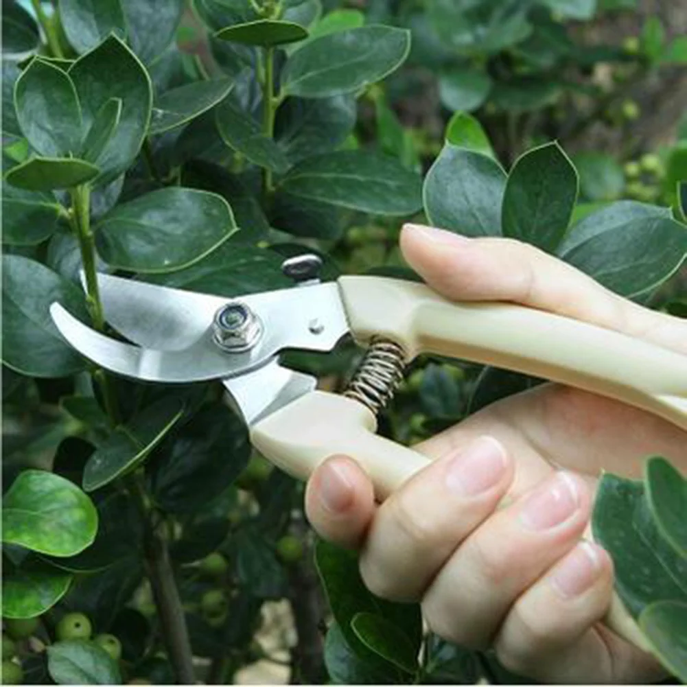 Tools Scissors Gardening Branch Shears  Gardening Tools Garden Shears -  Pruning - Aliexpress