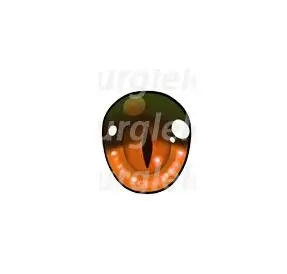 QQ20190621171918