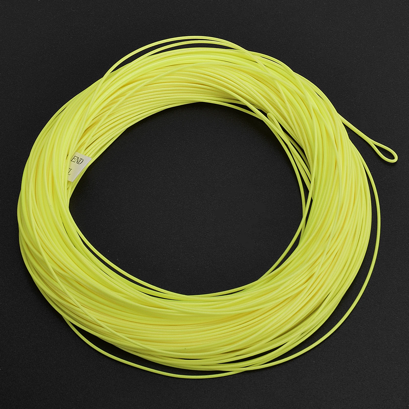 SF 100FT WF3/4/5/6/7/8F Fly Fishing Line with Welded Loop Weight Forwad Floating FLy line 6