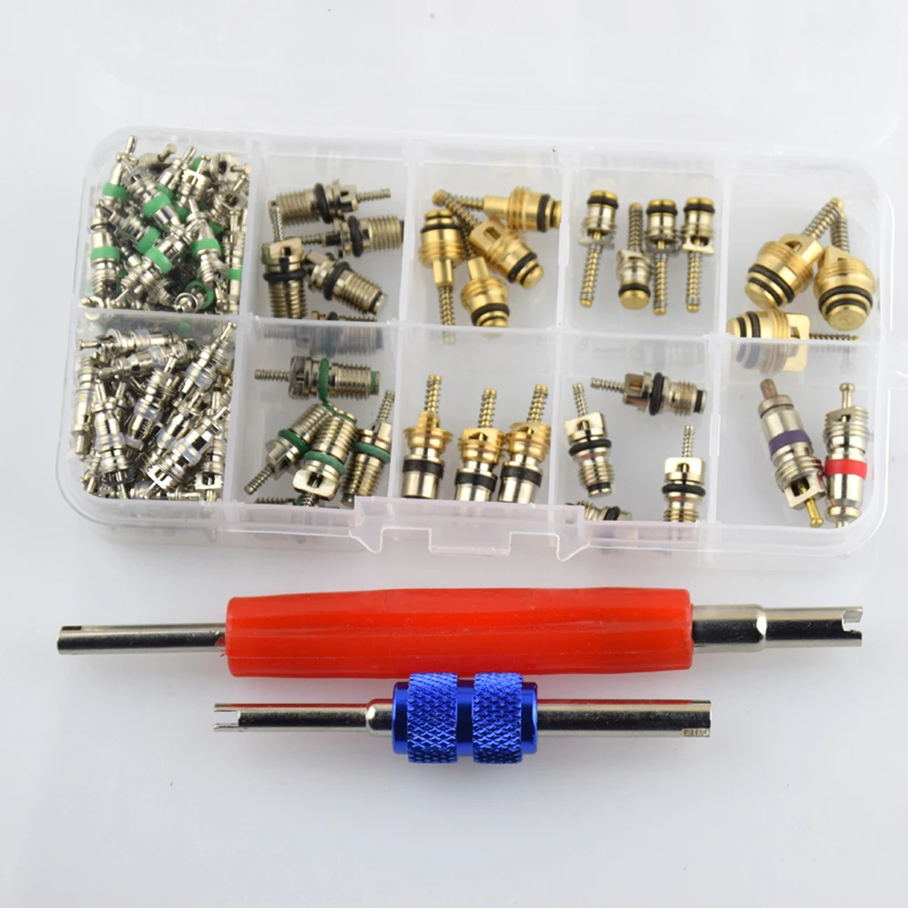 100 Pieces Car R12&R134 A/C Air Conditioner Schrader Valve Core with 2 Pieces Remover Tool