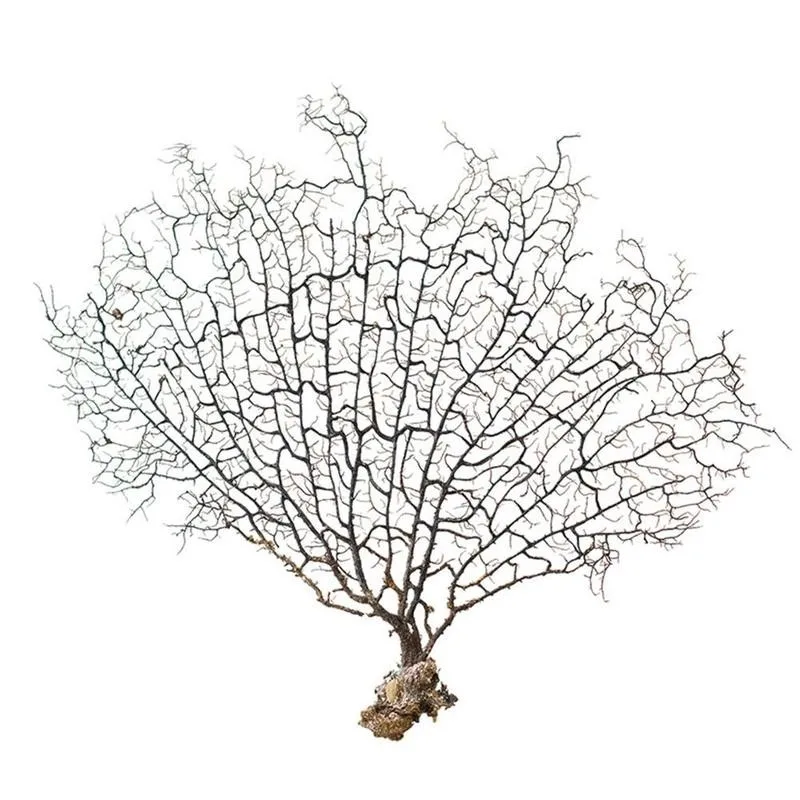 15-25cm Natural Sea Red Willow Brown Iron Tree Coral Branch Home Fish Tank Aquarium Landscape Crafts Decoration Plants Snail | Дом и сад