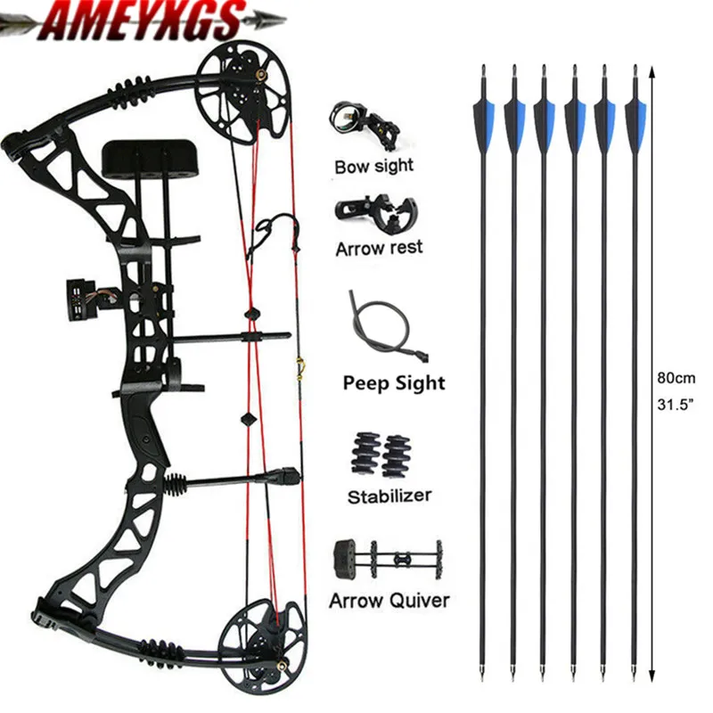 Compound Bow Arrow Kit 30-70lbs 329fps Archery Hunting Shooting Target 