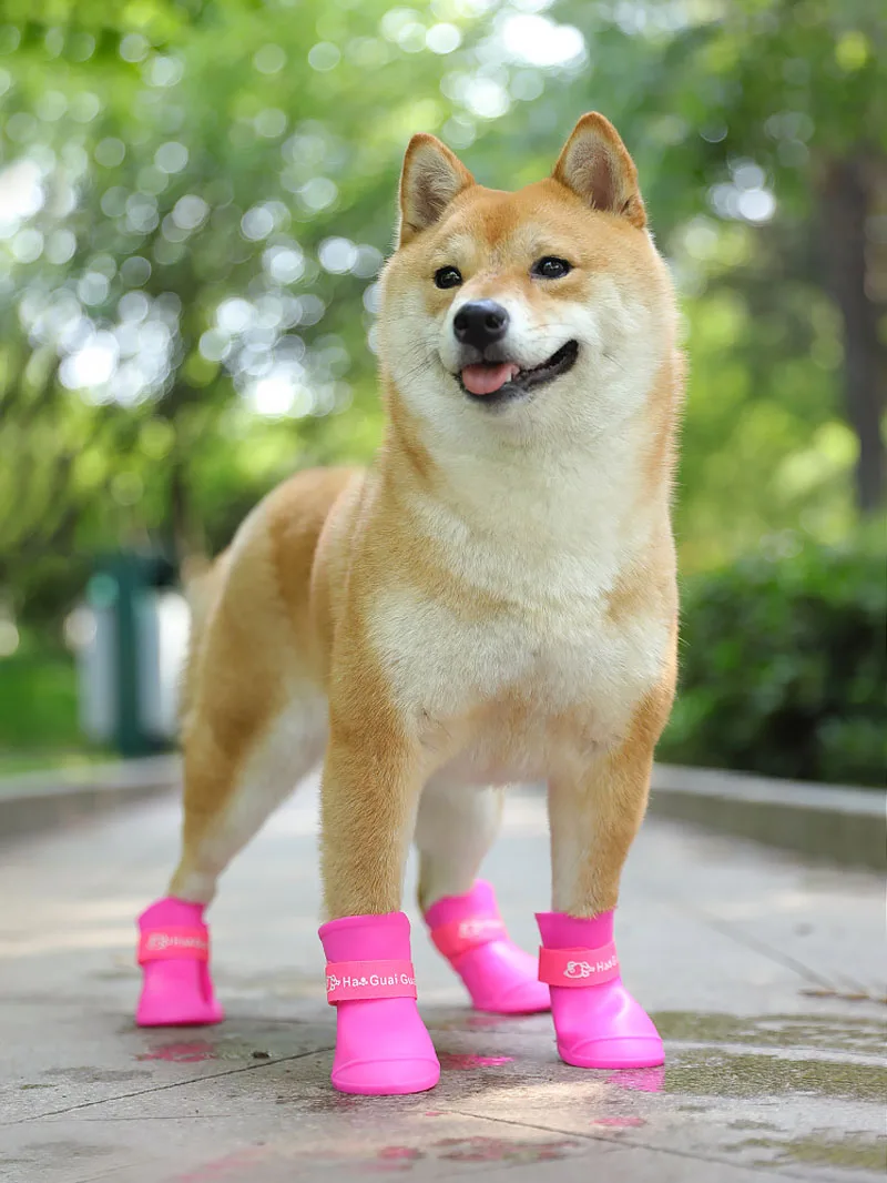 4pcs/set Pet Dog Shoes Waterproof Rain Boots Pet Shoes for Dog Puppy Anti Slip Rubber Candy Color Puppy Shoes Pet Products
