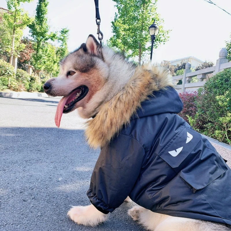 

Winter Large Dog Coat Clothes Pug French Bulldog Corgi Overcoat Jacket Shiba Inu Samoyed Husky Golden Retriever Big Dog Clothing