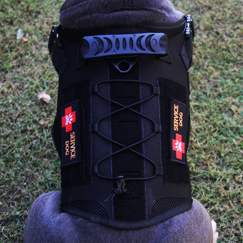 Laser Dog vest (19)
