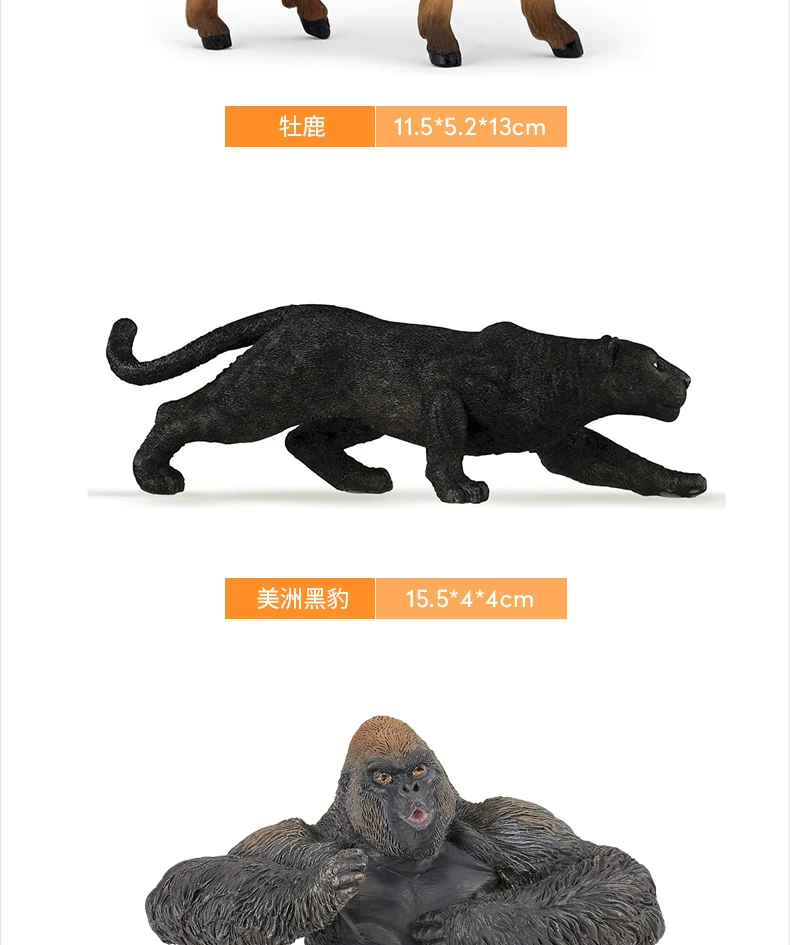 O1CN01VWS4ZW2IuyX1p9ZBT_!!2887009347