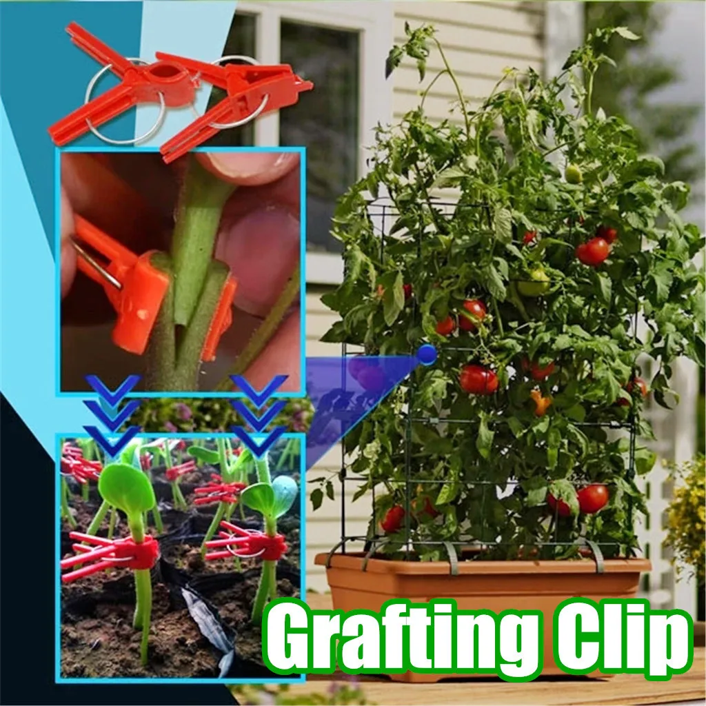 Grafting Clips Garden Vegetable Flower Tomato Vine Bushes Plants Protective Vine 