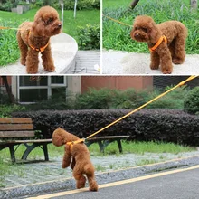 TAILUP, 1 шт., 49-70 см, Новое поступление, регулируемый нейлоновый поводок, поводок, Тяговый канат, тренировочный, для собак, домашних животных, кошек