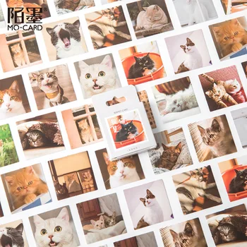 

46 pcs/set The Diary Photo of Cat Stickers Scrapbooking DIY Korean Journal Stickers Travel Japanese Stationery Little Sticker