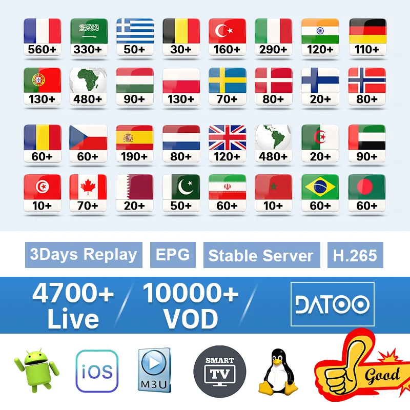 

IPTV France 1 Year Subscription Arabic Swedish Portugal Belgium IPTV Spain Germany Italy Code for M3u Android pk QHDTV IP TV