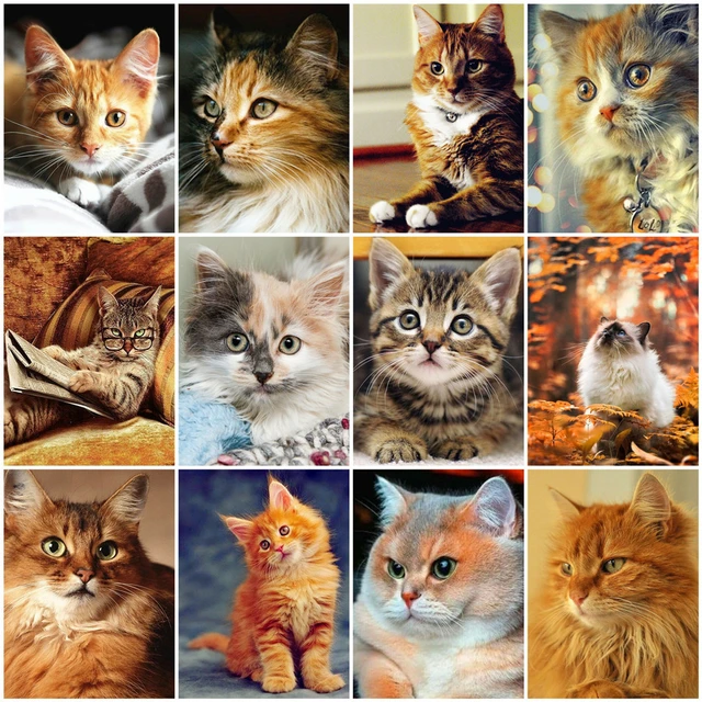 3d Diamond Embroidery Cute Cats Icon Diamond Painting Cross Stitch Animals  Stickers Diamond Mosaic Kits Rhinestone Pattern - AliExpress