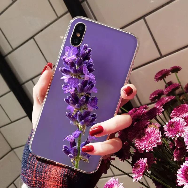 Simple lavender Purple flowers