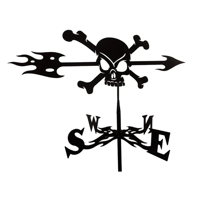 Skull