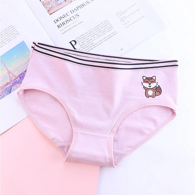 

LUOCHEN Lingerie Breathable Cotton Panties Underwear Briefs Panty Intimates ropa interior femenina tanga underwear women S1717