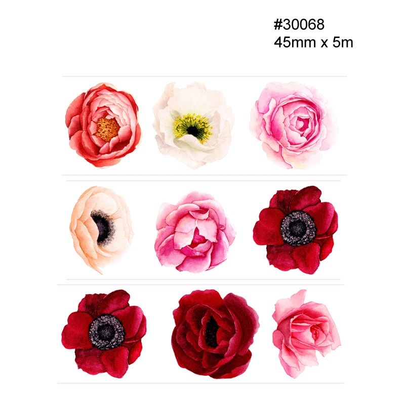 30068