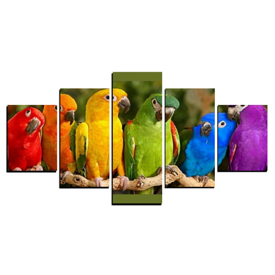 HTB1s0hVknvI8KJjSspjq6AgjXXaL