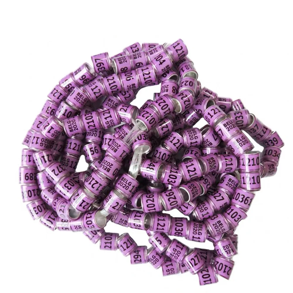 Фиолетовый 50 pcs multicolor Pigeon Foot Ring With Word Earrings Quality Durable Bird Ring Racing Pigeon Foot Ring Bird Tools - Цвет: Фиолетовый
