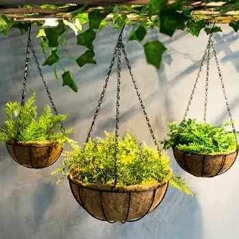 

Coconut Flower Pots Plant Pot Flowers Levitating Garden Succulent Hanging Basket Home Garden Decor