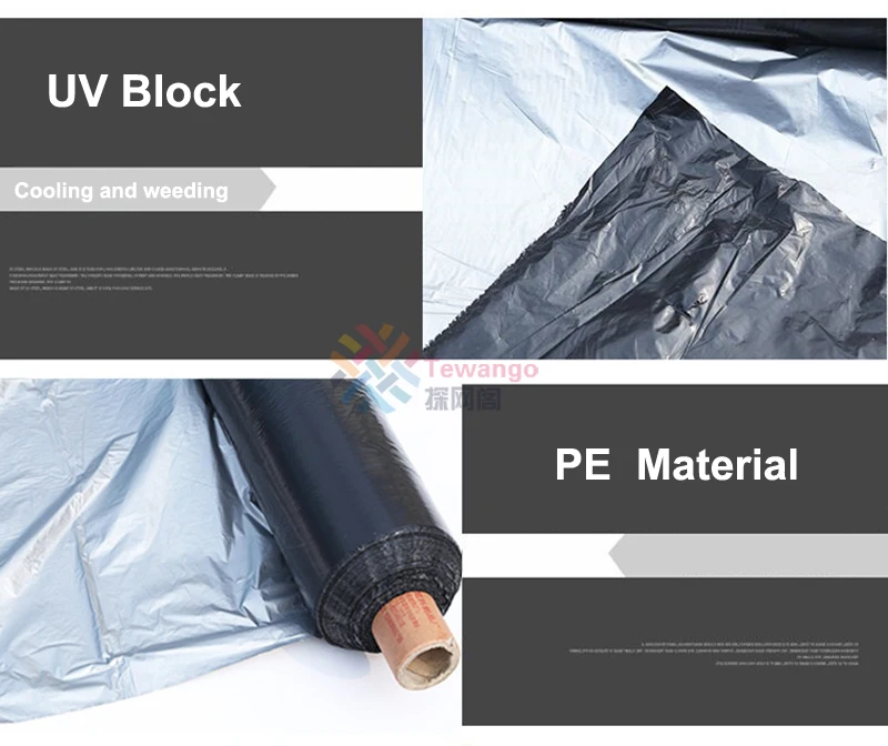 HTB1fK1JXyHrK1Rjy0Flq6AsaFXal