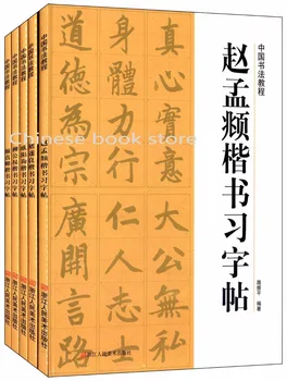 

Chinese Calligraphy writing Tutorial book for beginners: Yan Chen Liu gongquan hanzi brush writing masters copybooks,set of 5