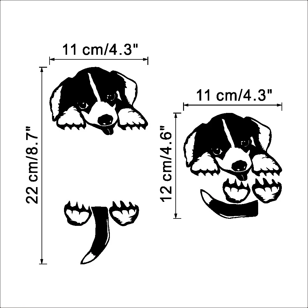 2933881160_896155306