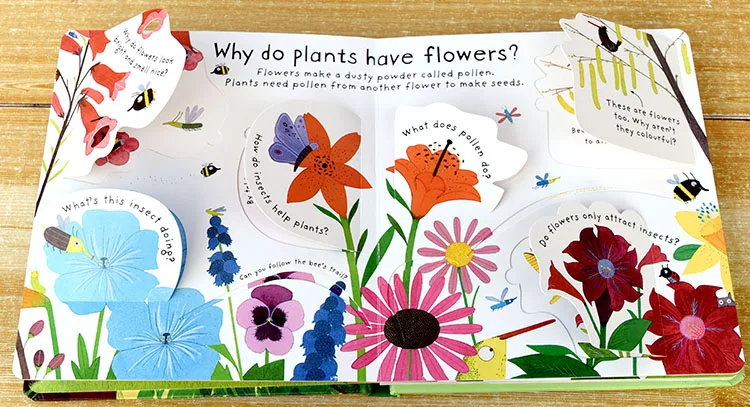 Perguntas e Respostas Usborne Primeiras Como Crescer Flor Inglês Educação Flap Imagens Livros Bebê Cedo Criança Leitura 8 Computers & Electronics