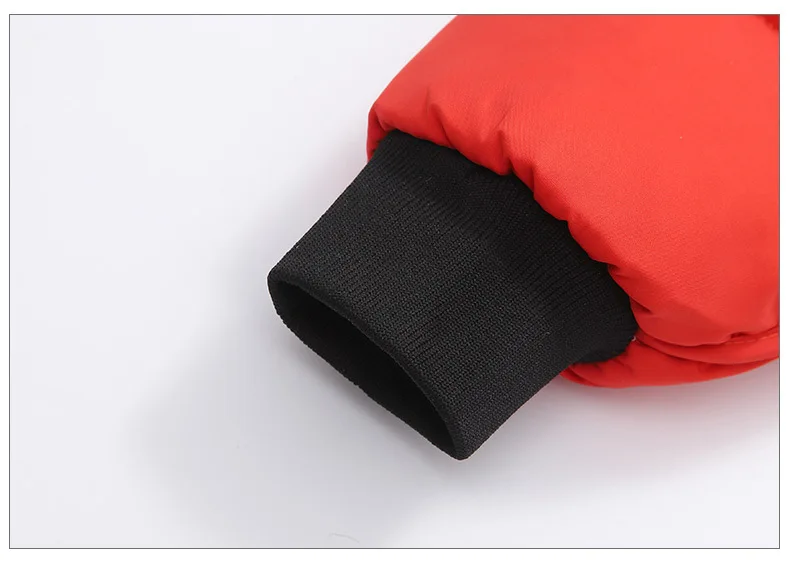 11659868025_760768517