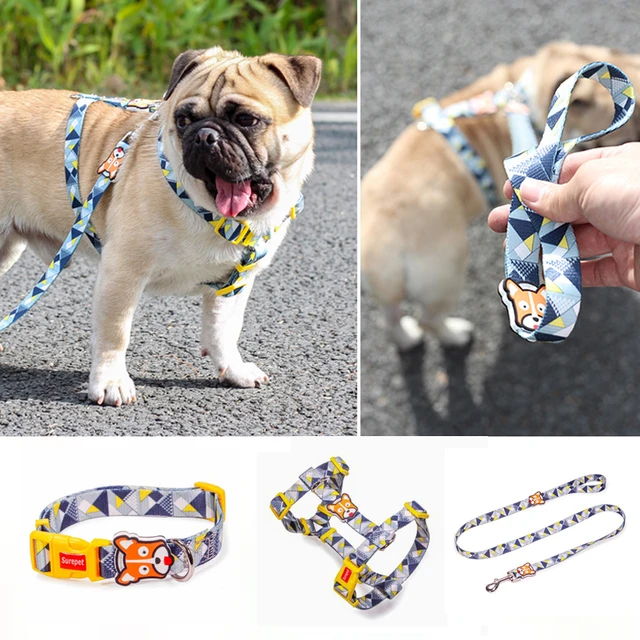 lv dog collars for medium dogs