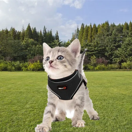 

Reflective Mesh Breathable Soft And Comfortable Harness For Small Dog Cat Adjustable Pet Lead Chest Strap Leash Without Tension