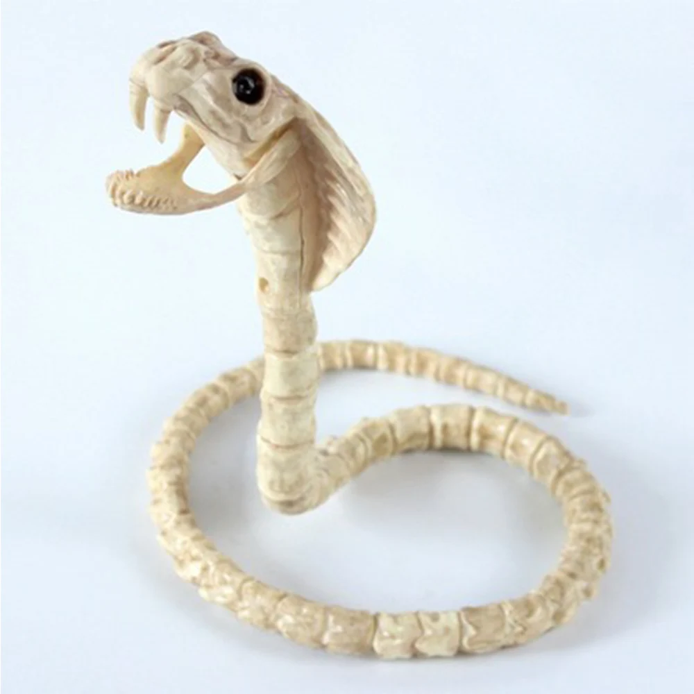 High quality Animal Skeleton toy Trinkets Halloween animal Skeleton decoration Bones house fashion artwork Party Decoration