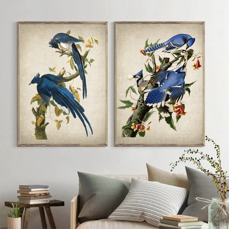Audubon-Art-Prints-Columbia-Jays-Vintage-Bird-Illustration-Poster-Canvas-Painting-Blue-Jays-Pictures-for-Living (2)