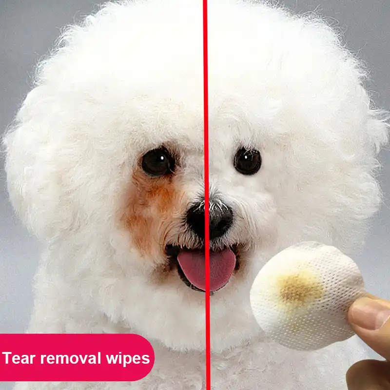 ペット拭くinstagram Web有名人強化tearmark除去ペット拭くpomeranoidテディ目クリーナー犬や猫ペット製品 Dog Towels Aliexpress