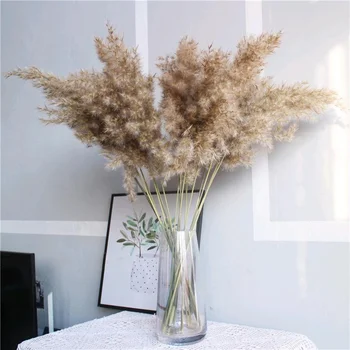 

Bulrush Natural Dried Small Pampas Grass Phragmites Artificial Plants Wedding Flower Bunch for Home Decor Fake Flowers