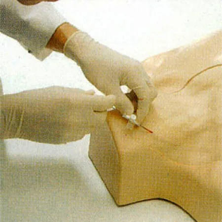 L69Acentral venous catheterization simulato (6)
