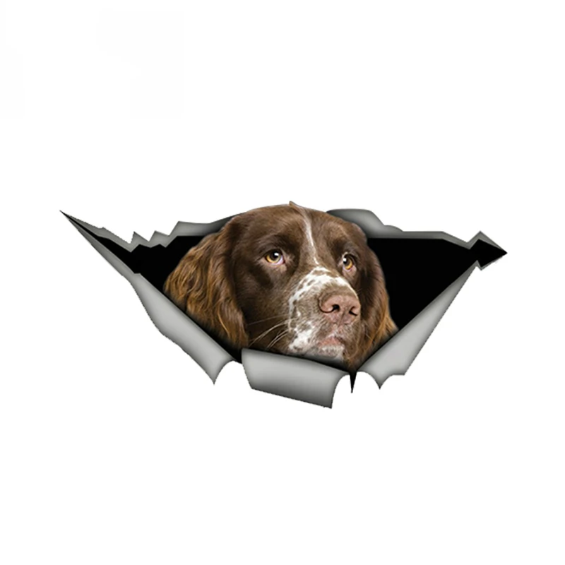 

Springer Spaniel Car Sticker Torn Metal Decal Reflective Stickers Waterproof 3D Car Styling Pet Dog Decals,13cm*6cm