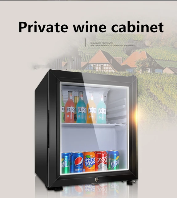 Congelador de barra de hielo de 60L, gabinete de mantenimiento fresco,  temperatura constante, vino tinto, sala de estar familiar, puerta única, refrigerador  pequeño - AliExpress