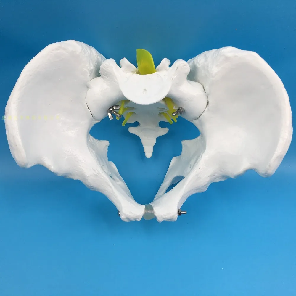 HTB1rv6eaAT2gK0jSZPcq6AKkpXaL