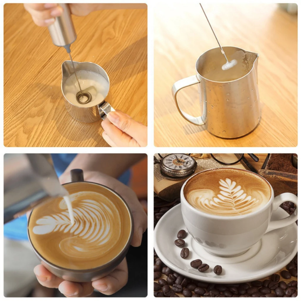 Electric Stainless Milk Frother with Double Spring Whisk Head & Storage Tube