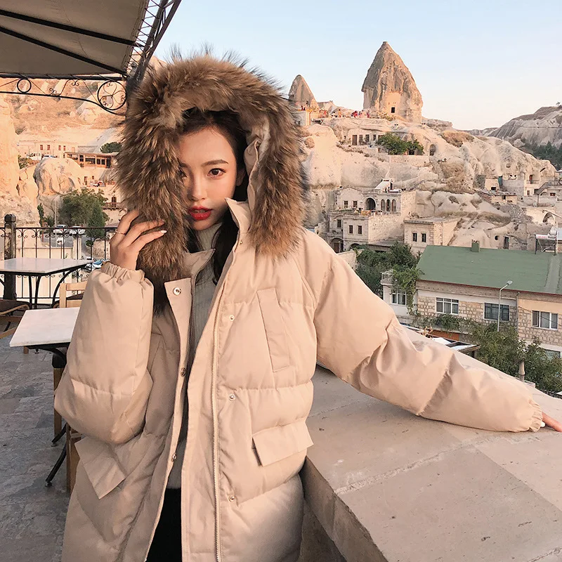 

Short-height Cotton-padded Jacket 2019 New Style Korean-style Loose-Fit Cotton-padded Clothes down Jacket Cotton-padded Clothes