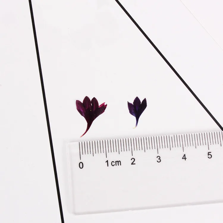 Description Picture 2 of item40PCS,Nature Pressed Flower,Real Touch Cornflower Petals,DIY Wedding invitations Craft Bookmark Gift Card,Flores Facial Decor
