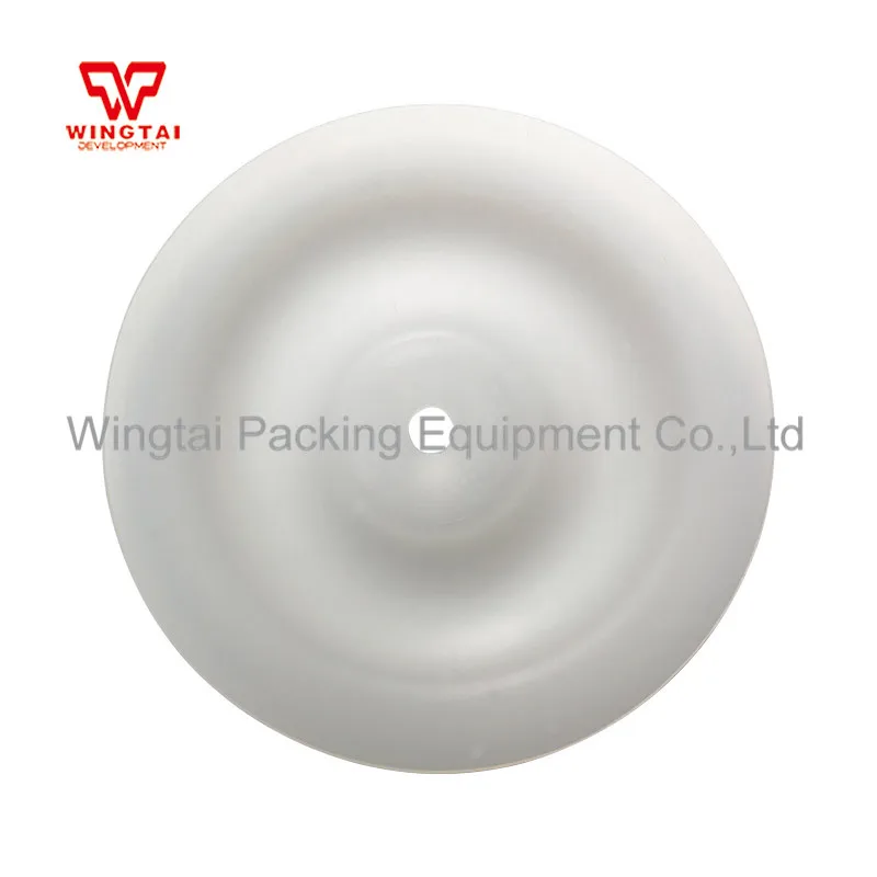 10#隔膜泵膜片    (2)