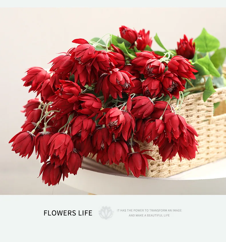 12171676900_1554594402