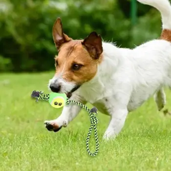 

8pcs Funny Pet Dog Cotton Rope Toy Set Molar Bite Resistant Toys Pet Supplies Home Pet Decompression Essential Supplies