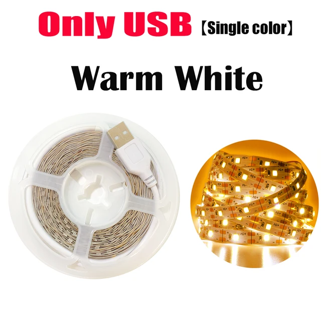 Bluetooth Control RGB 5050 2835 LED Lights Strip USB 5V Flexible Lamp Tape Diode Festival Fita White Tira Luces TV PC Desk Luz Onlly USB Warm White