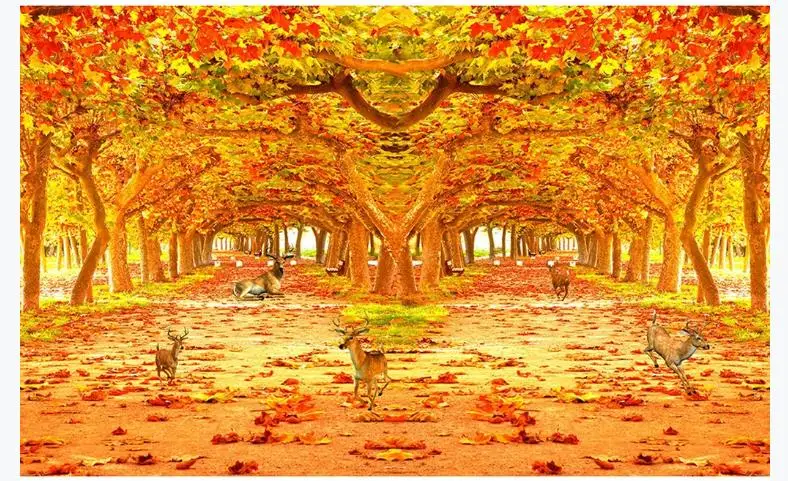 360截图-6806807