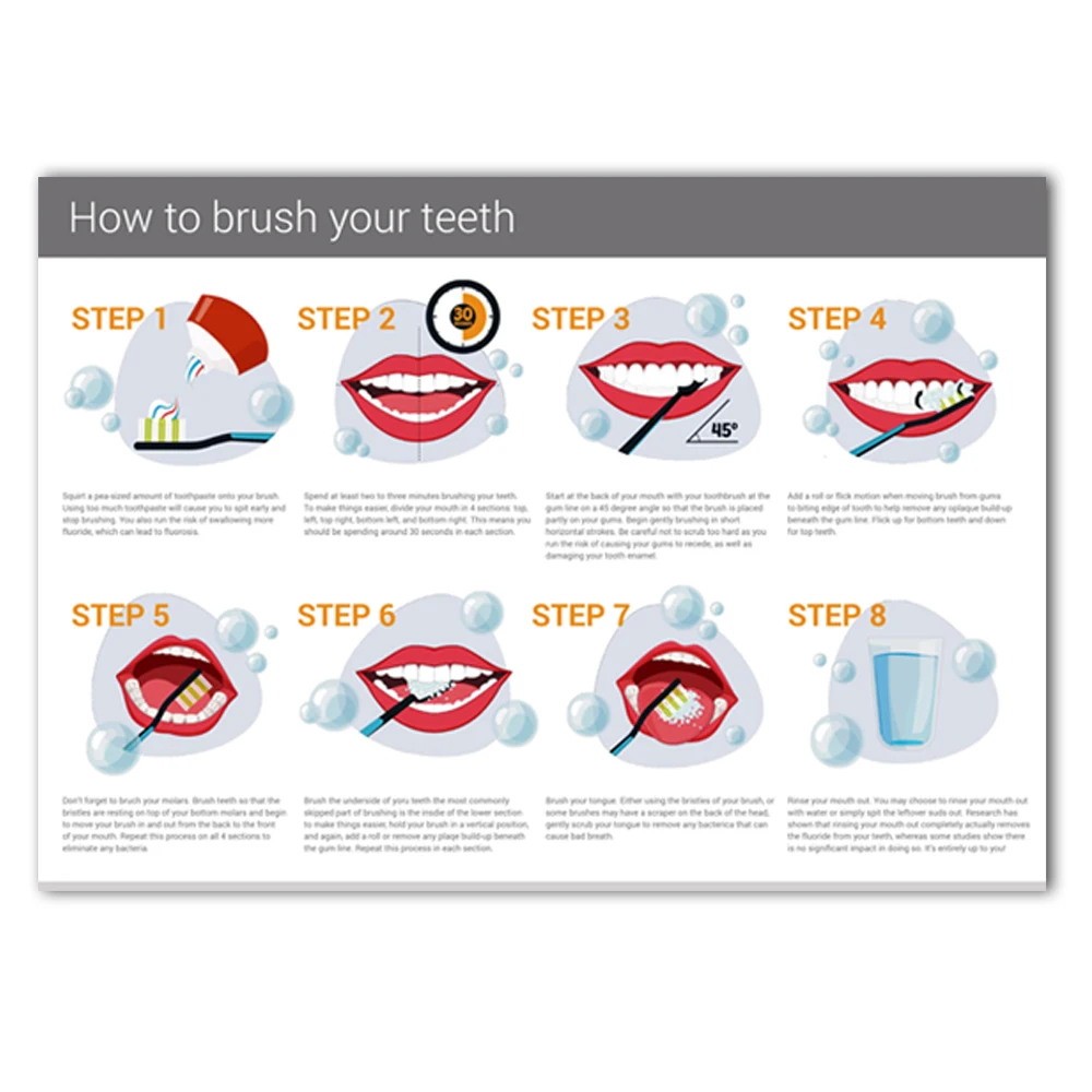 WANGART Как почистить ваши зубы Инфографика Альфа стоматология Перт современное